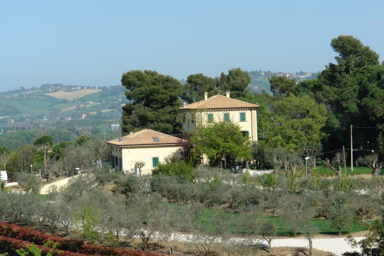Agriturismo La Limonaia Mondavio Exteriör bild